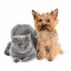 Pets