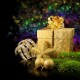Christmas charity