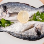 Cooking Fish