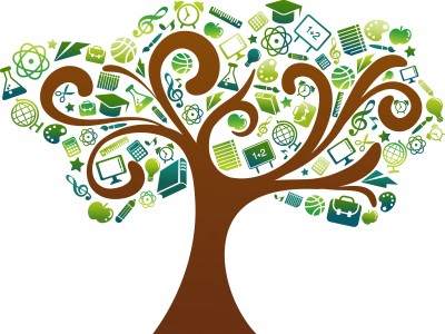 Tree of Education