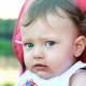 Child Support Assistance