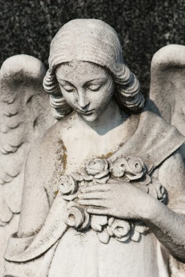 Death and Its Many Wounds